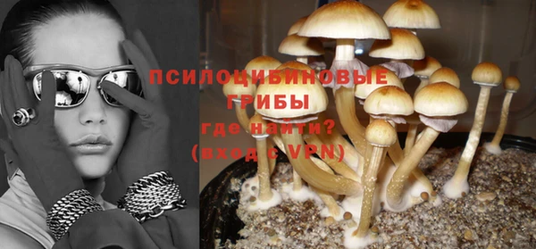 бутират Алзамай