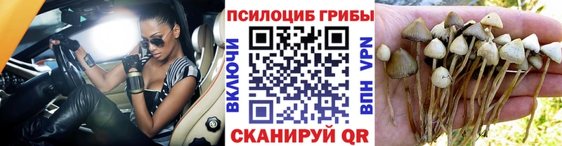 Галлюциногенные грибы прущие грибы  Отрадная 